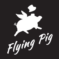 Flying Pig logo - Similar company to Pointbreak