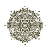 Deep Ecology Meditation logo - Similar company to Conservation Ecology Llc