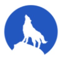 Blue Wolf Interactive logo - Similar company to Blue Summit Seo