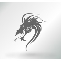 Dragon Professional Services, LLC logo - Similar company to The Prompt Wizards