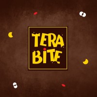 Terabite logo - Similar company to Blocksindia