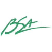 Bay State Anesthesia logo - Similar company to Bokland Creative Imaging