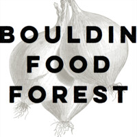 Bouldin Food Forest