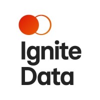IgniteData logo - Similar company to Ignite Data Solutions