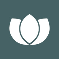 Lotus Participações logo - Similar company to Rede Ápice