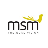 MSM logo - Similar company to Cosight - The Meaning Management Company