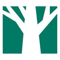 Panguaneta Plywood logo - Similar company to Bnext