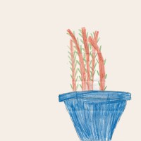 Story Editing Agency logo - Similar company to Wpconcierge