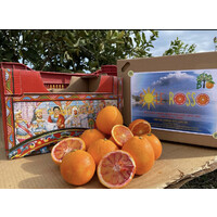 Sole Rosso Bio logo - Similar company to Xuto S.R.L.