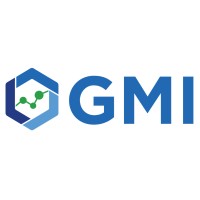 GMI logo - Similar company to Gmi