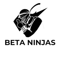 BetaNinjas logo - Similar company to Mandarix