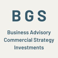 BGS Advisors logo - Similar company to Ibrs