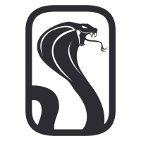 COBRA BAR logo - Similar company to Palma