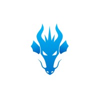Blue Dragon Security logo - Similar company to Bluedragon Security