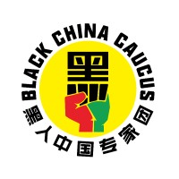 Black China Caucus logo - Similar company to High Peak Strategy Llc