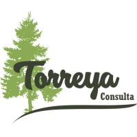 Torreya Consulta logo - Similar company to Bsd Servicios