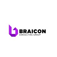 Braicon Consulting Group logo - Similar company to Abin Group S.A.C