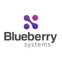 Blueberry Systems Limited logo - Similar company to Everprep Ltd