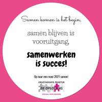 Ergotherapiepraktijk De Oplossing logo - Similar company to 7 Zintuigen
