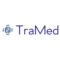 Tramed Consulting Llc