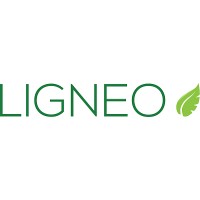 LIGNEO SOLAR | UAB NR RYŠIAI logo - Similar company to Solar Explain