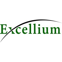 Excellium LLC logo - Similar company to Transcendentit