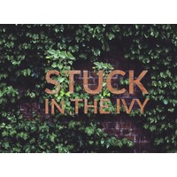 Stuck In The Ivy