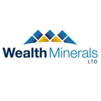 Wealth Minerals logo - Similar company to World Copper