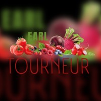 EARL Tourneur logo - Similar company to Tourneur