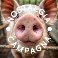 Nostalgia Campagna logo - Similar company to Ossigeno Design