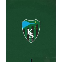 Kocaelispor Kulübü logo - Similar company to Manisa Futbol Kulübü