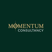 MOMENTUM CONSULTANCY logo - Similar company to Orangehyve