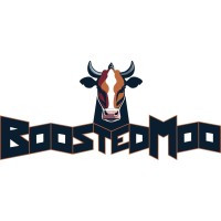 Boosted Moo logo - Similar company to 1+1 Ventures
