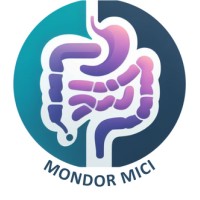 Mondor MICI logo - Similar company to Snfcp