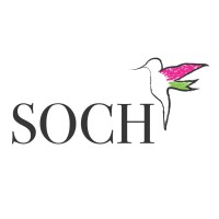 SOCH Foundation logo - Similar company to Soch(अंत ही आरम्भ)