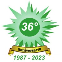 Micro Style Newsletter logo - Similar company to Trapani Micro Hub