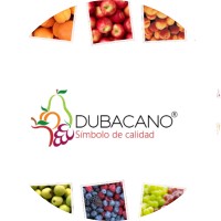 Dubacano, SA de CV logo - Similar company to The Fresh Connection