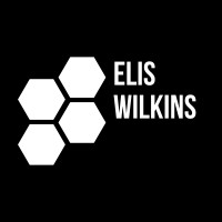Elis Wilkins Consulting & Coaching logo - Similar company to Expats Give Back