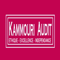 KAMMOURI AUDIT logo - Similar company to Mh Audit