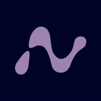 Nfluence Consulting logo - Similar company to Leaveli