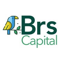 Brs Consult