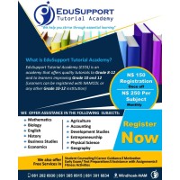 EduSupport Tutorial Academy logo - Similar company to Edusupport