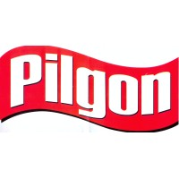 Pilgon.plastic logo - Similar company to Pilgon