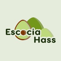 Escocia Hass logo - Similar company to Semprecol