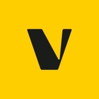 VANAMICS logo - Similar company to Bricalia.Com