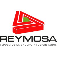 REYMOSA logo - Similar company to Mapserve®