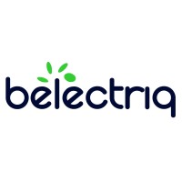 Belectriq Mobility logo - Similar company to Lubi Ev Solutions