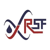 Radin Sanat Faraz logo - Similar company to Bavicchi S.P.A.
