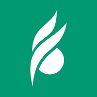 Bom Futuro logo - Similar company to Compay Z