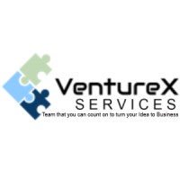 VentureX Services Private Limited logo - Similar company to Hamzavi Solutions